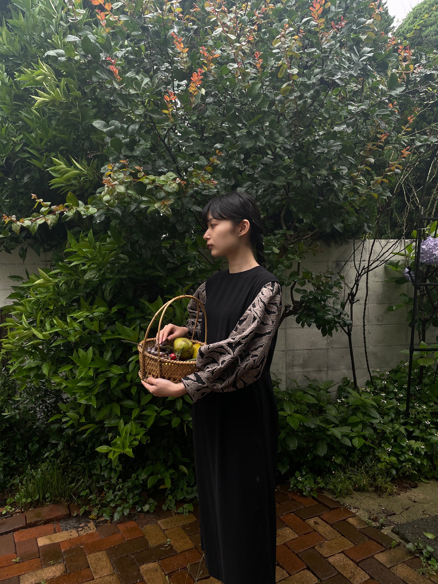静生 (再入荷)